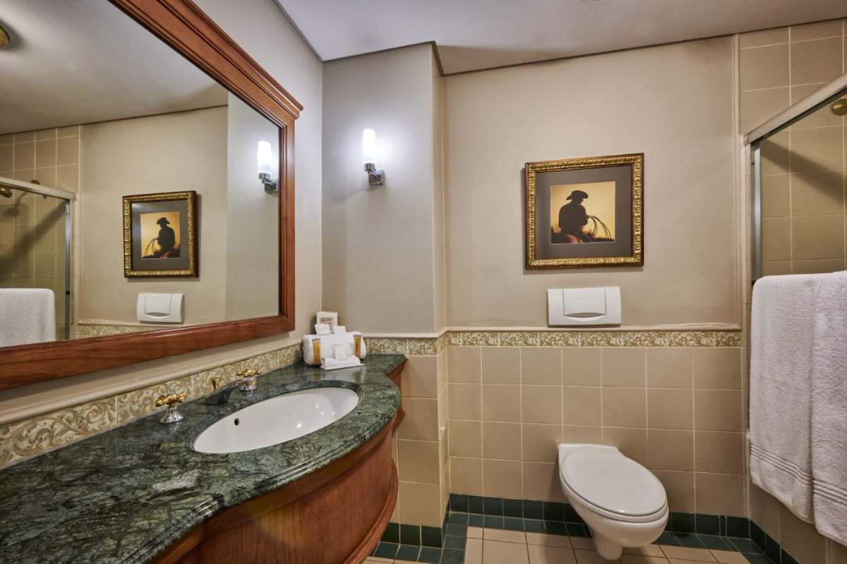 Graceland Ensuite Bathroom